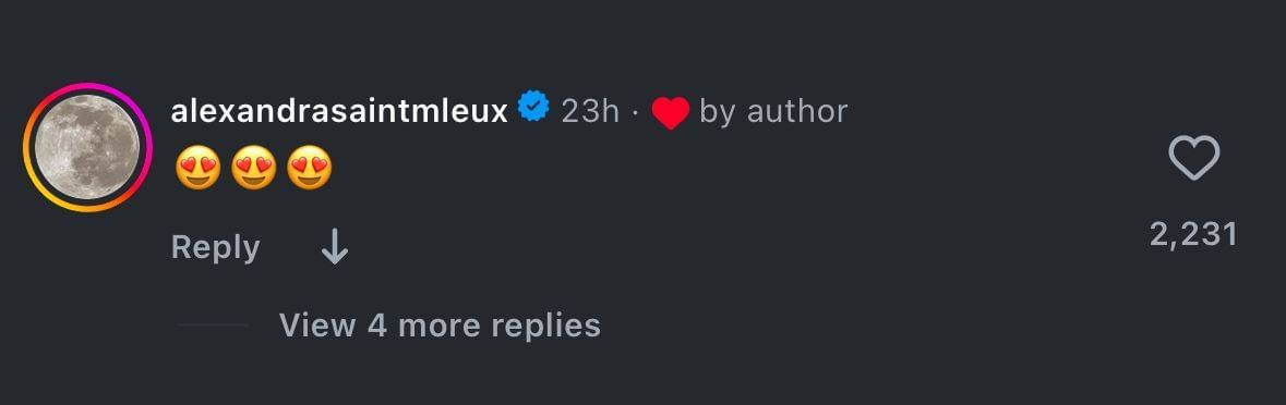 Saint Mleux&#039;s comment under Muni He&#039;s Instagram post. [via Instagram/@lilymhe]