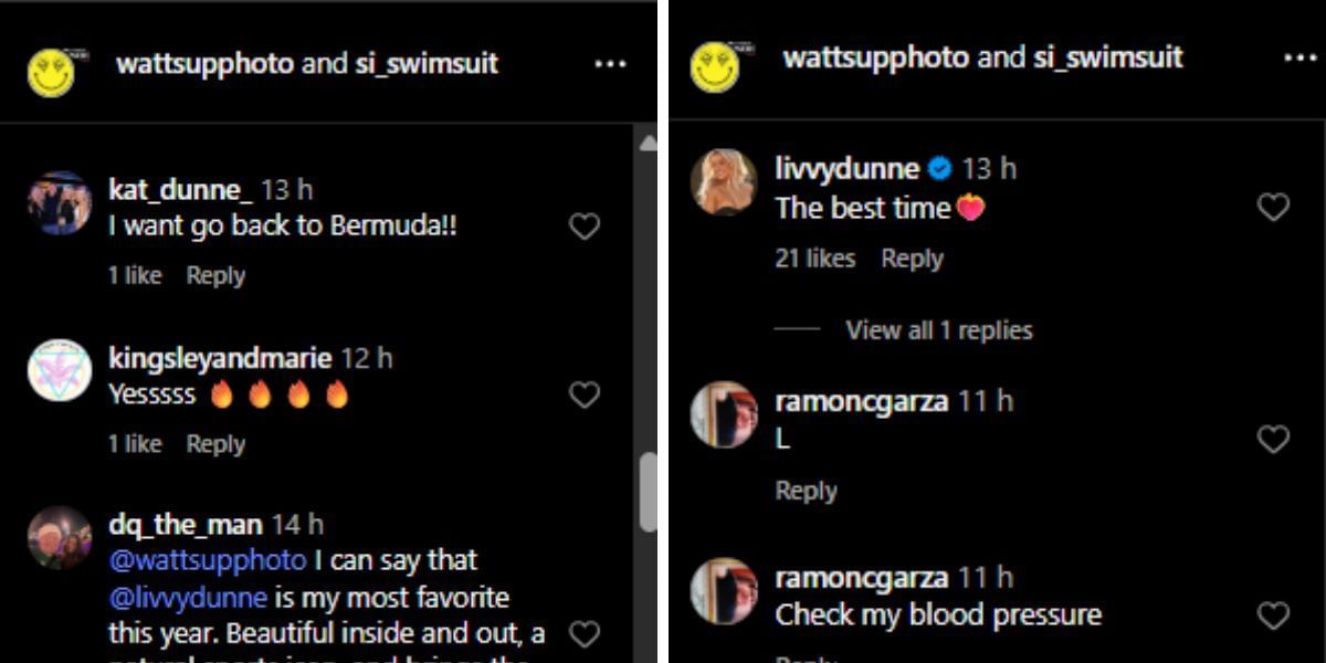Screenshot of the Instagram post&#039;s comment section.