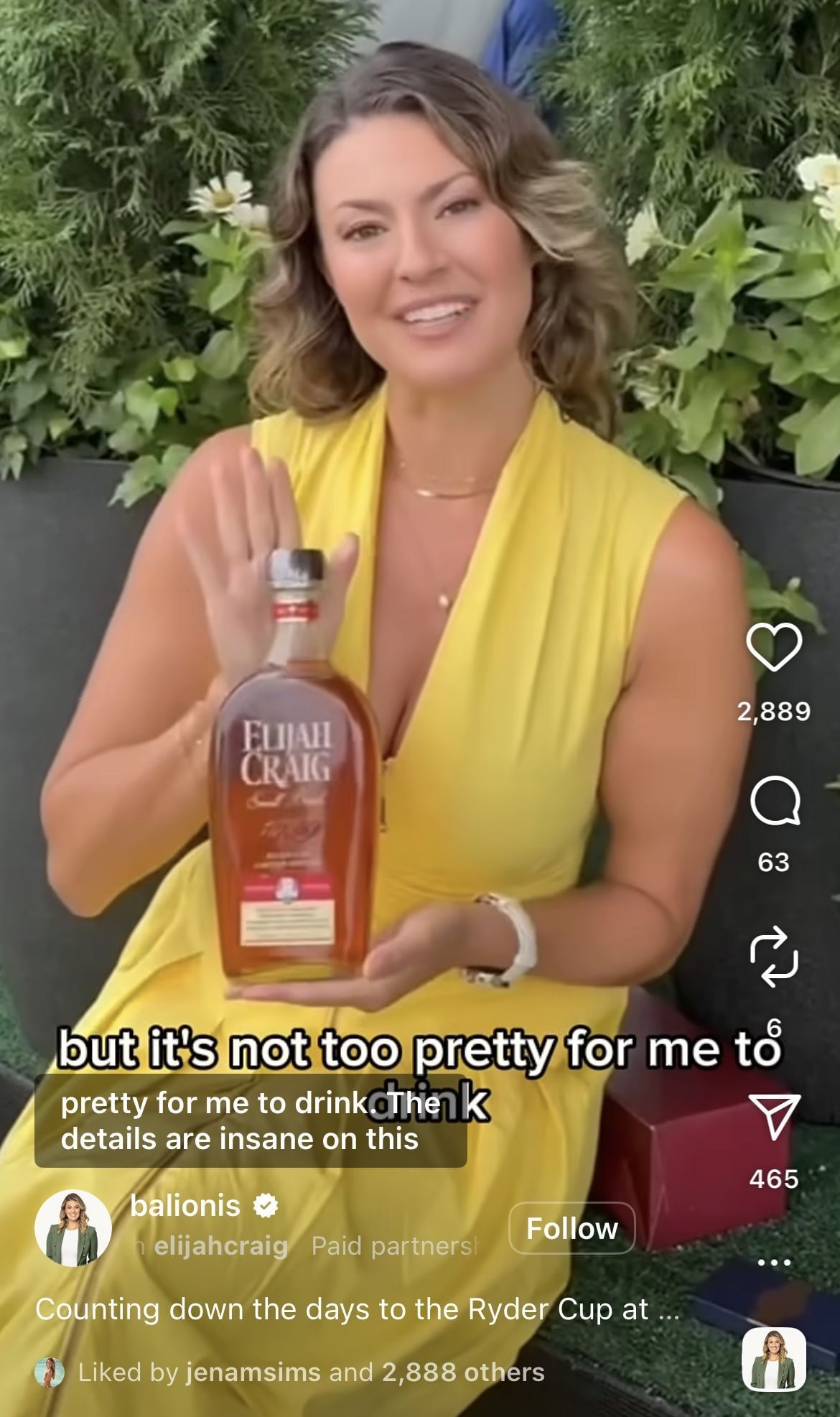 Still taken from Amanda Balionis&rsquo; Instagram Feed _ Source: Instagram/@balionis