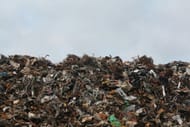 The body of Hiawayi Robinson was found at a pile of trash (Image via Pexels)