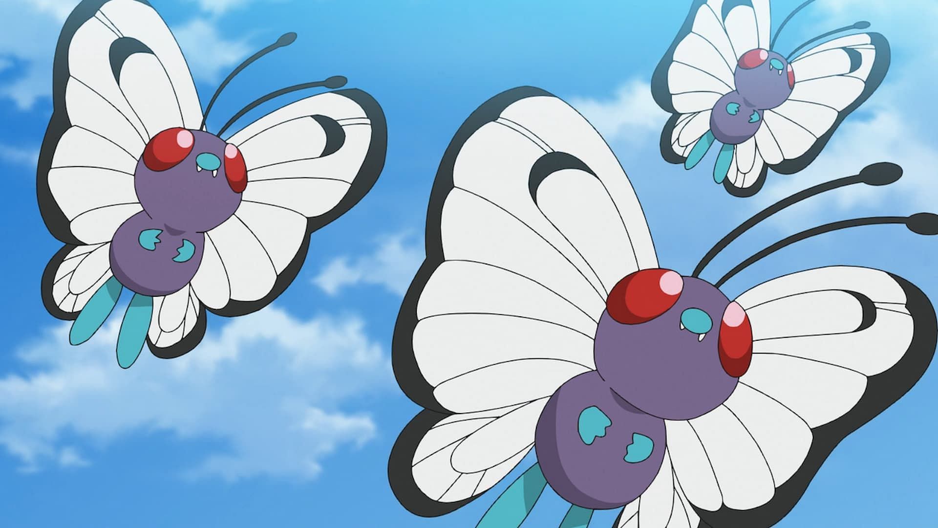 Butterfree as seen in the anime (Image via The Pokemon Company)