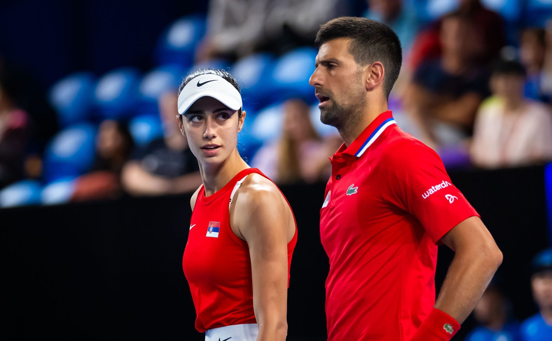 Danilovic and Djokovic at the 2024 United Cup - (Image Source: Getty)