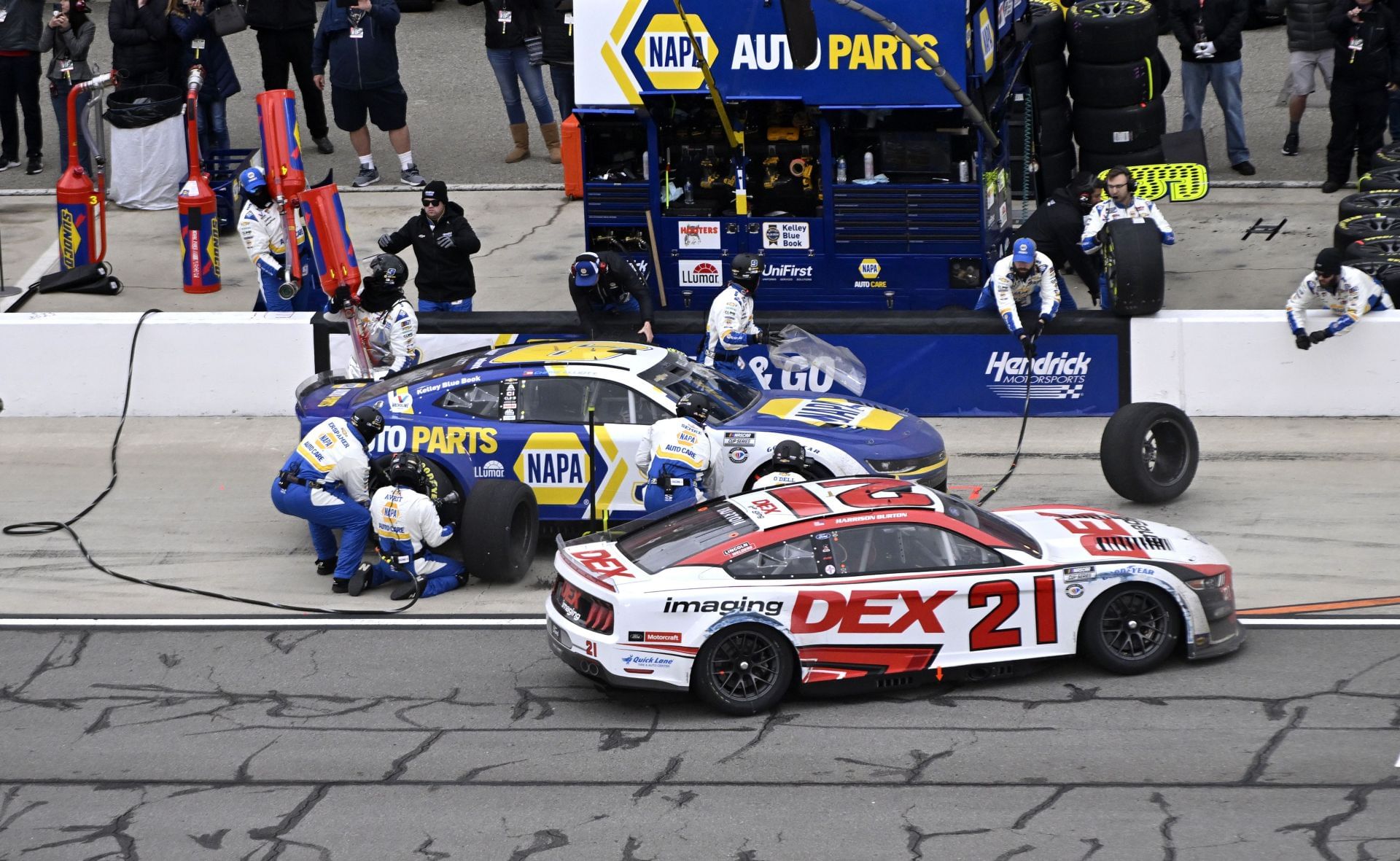 Chase Elliott (9) and Harrison Burton (21) during the 2024 Pala Casino 400. Source: Getty