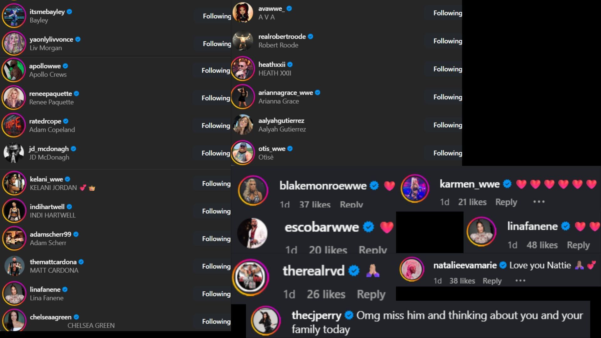 Screenshots of stars&#039; likes and comments [Image credit: Natalya&#039;s Instagram]