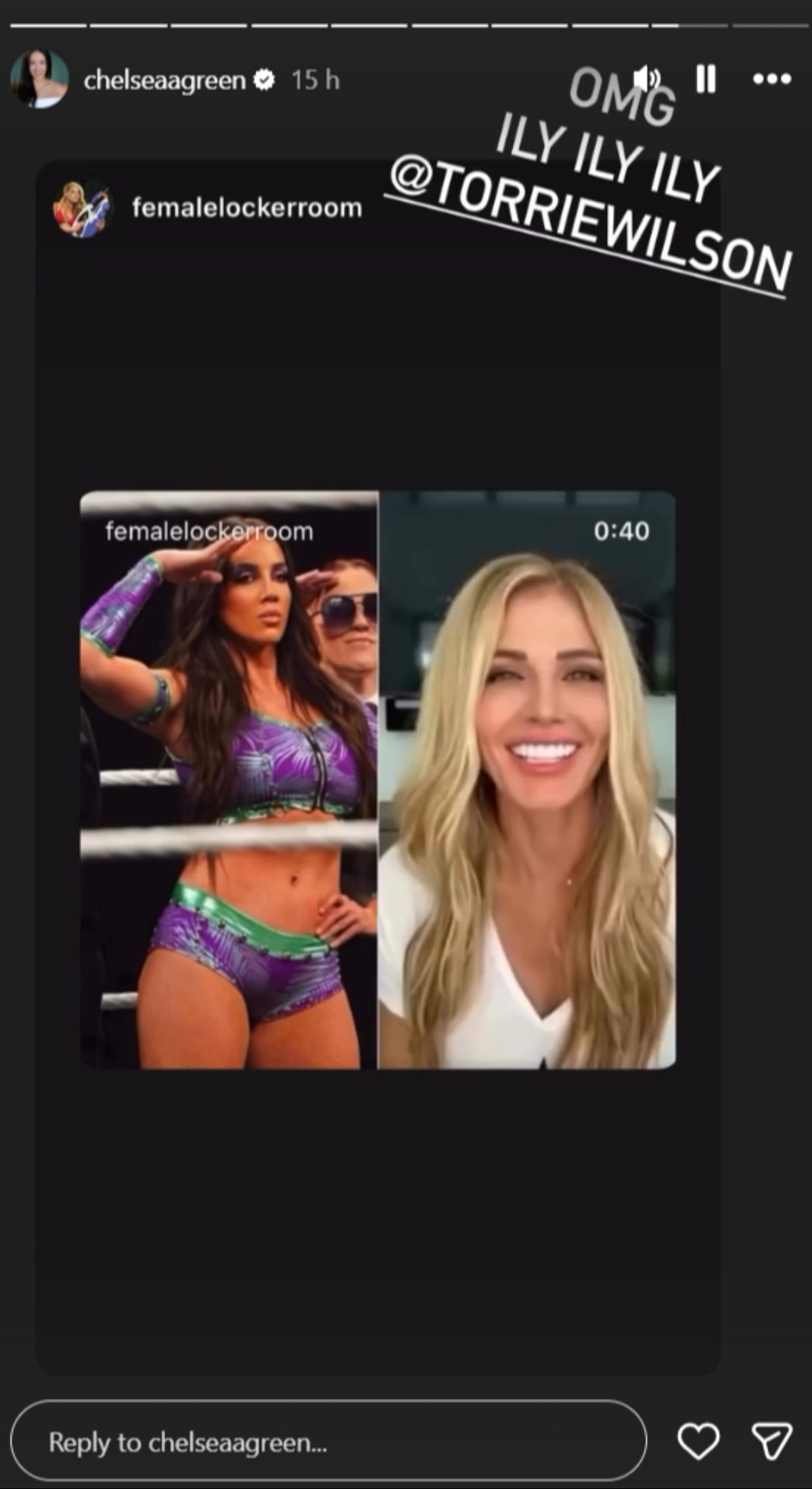 Chelsea Green shares an interview clip of Torrie Wilson (Picture credits: Green&#039;s Instagram Story)