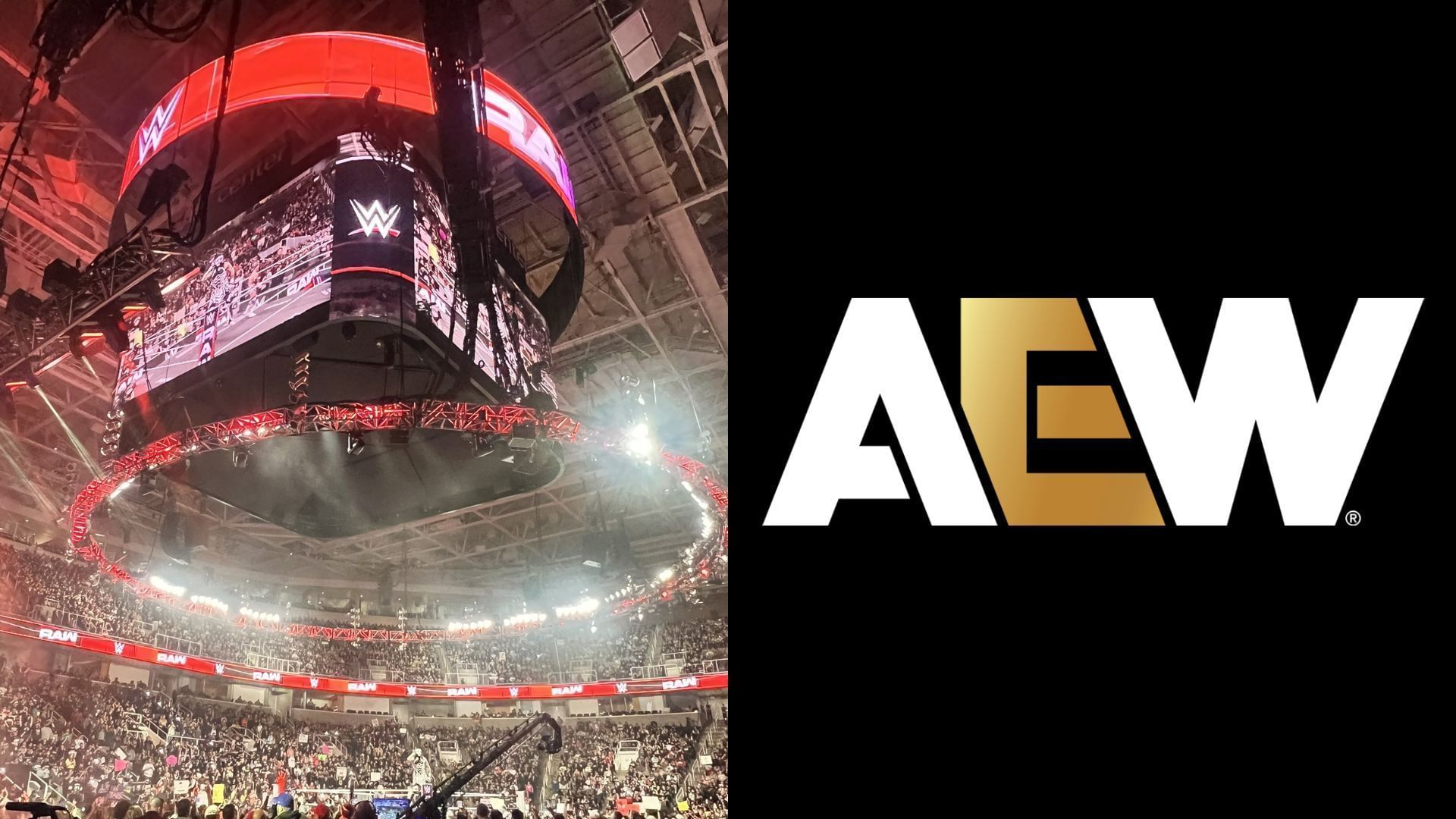 WWE and AEW are top players in the wrestling industry [photo: Bayley