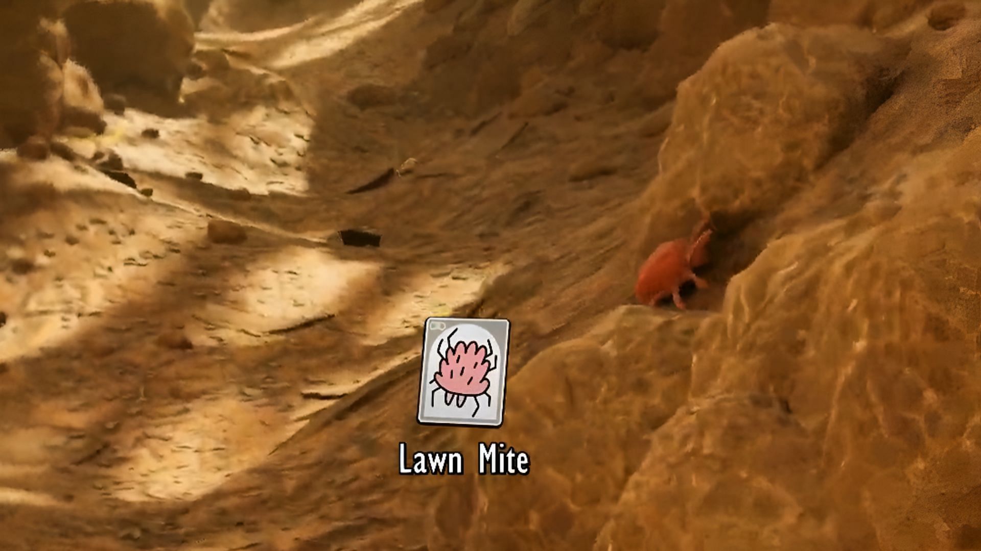 This guide will help you to get Mite Fuzz in Grounded 2  (Image via Xbox Game Studios)