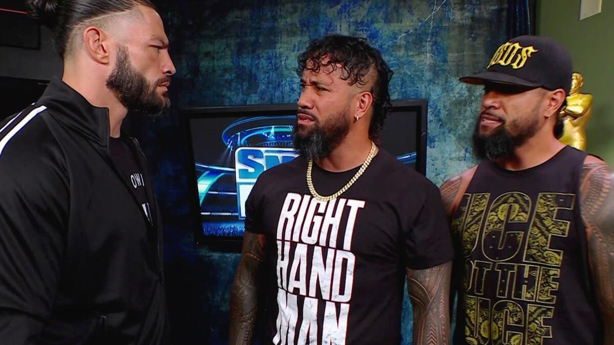 The stars are real brothers (Credit: WWE.com)