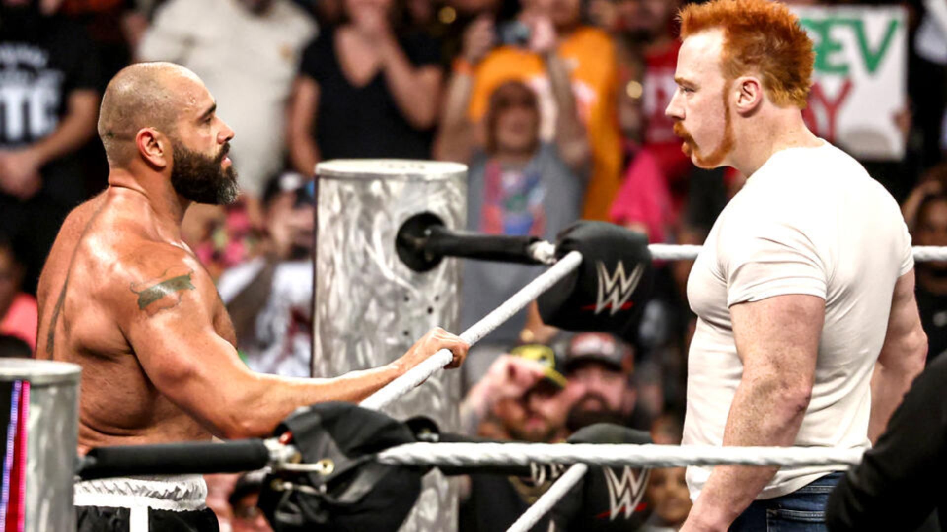 Sheamus and Rusev will collide at Clash in Paris
