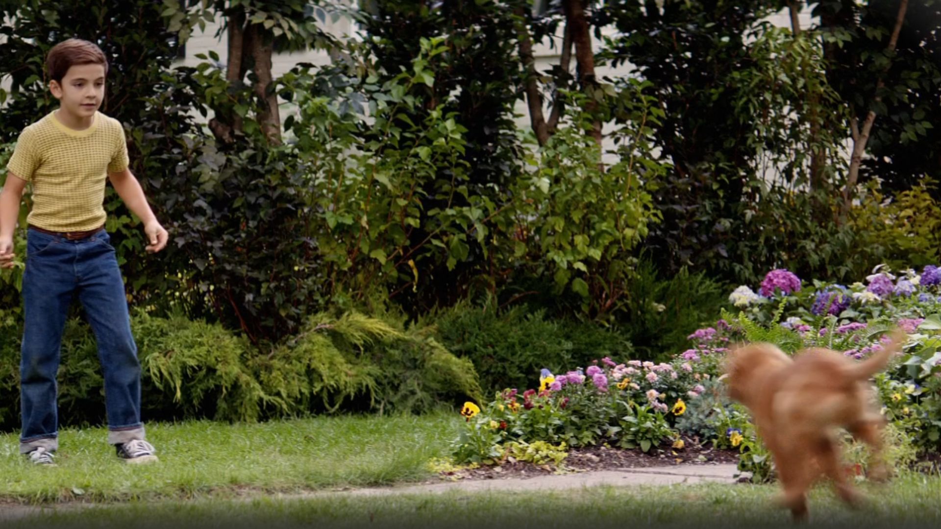 A still from the movie (Image via Apple TV)