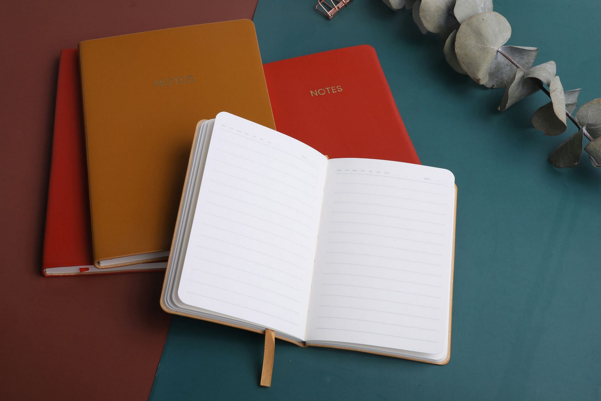 The twins had journal entries contemplating their escape from their mother&rsquo;s custody (Image via Unsplash)