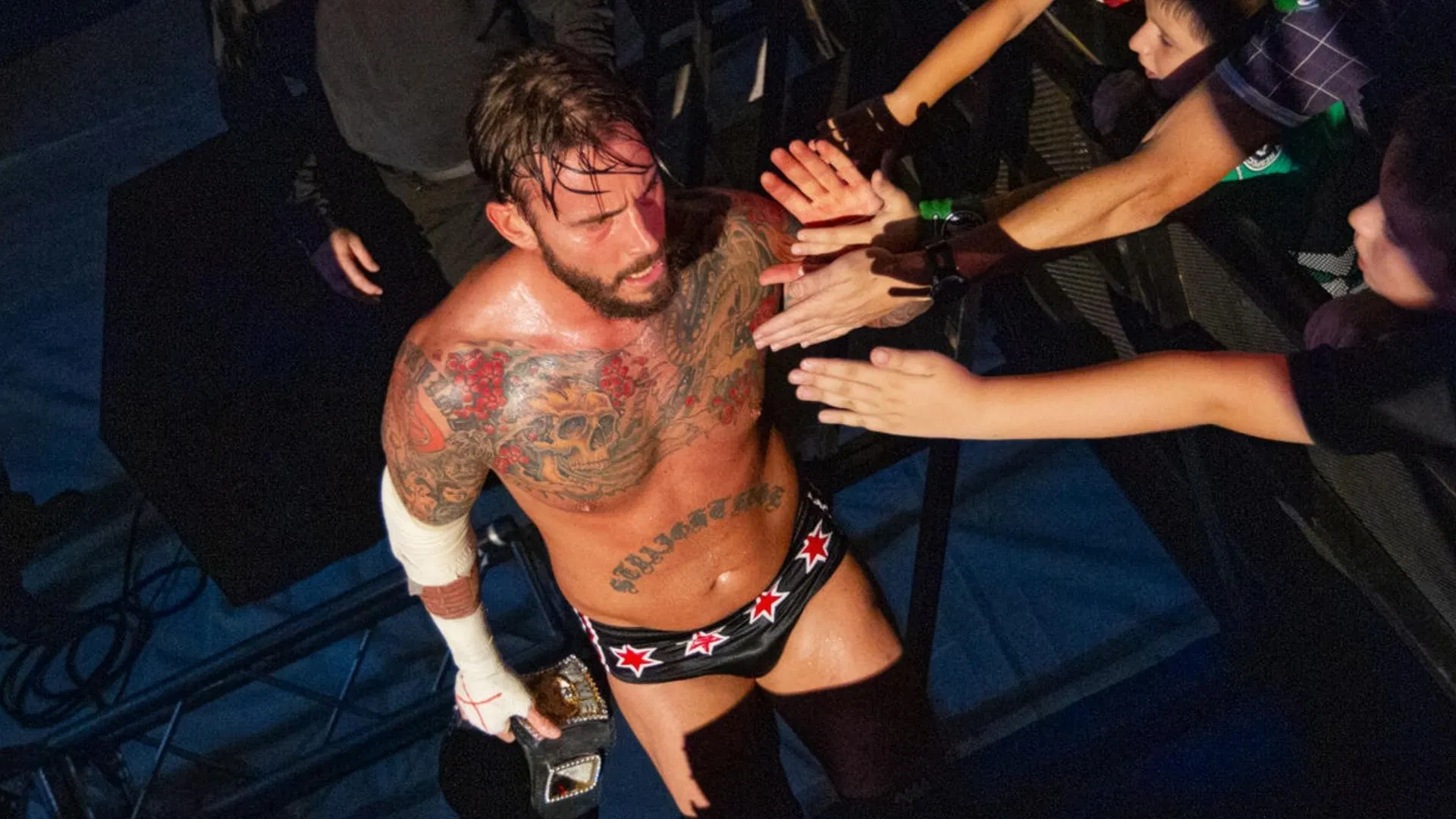 CM Punk [Image Credits: wwe.com]