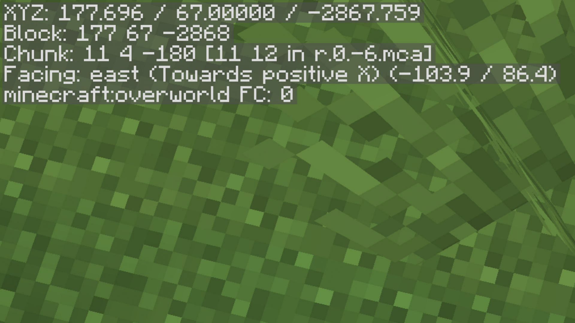 Some correction information that is always set on (image via SPORTSKEEDA GAMING || Mojang Studios) can be simplified