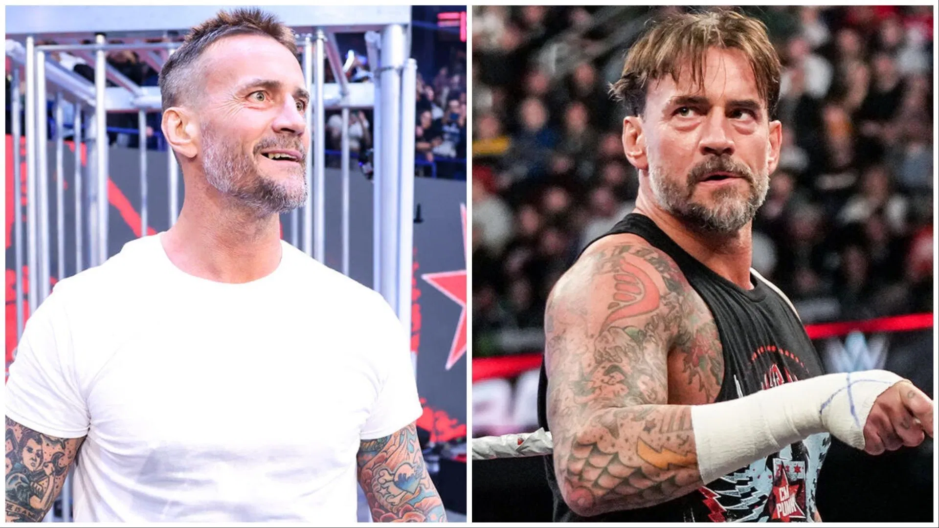 CM Punk is a WWE Superstar. (Photos: WWE.com)