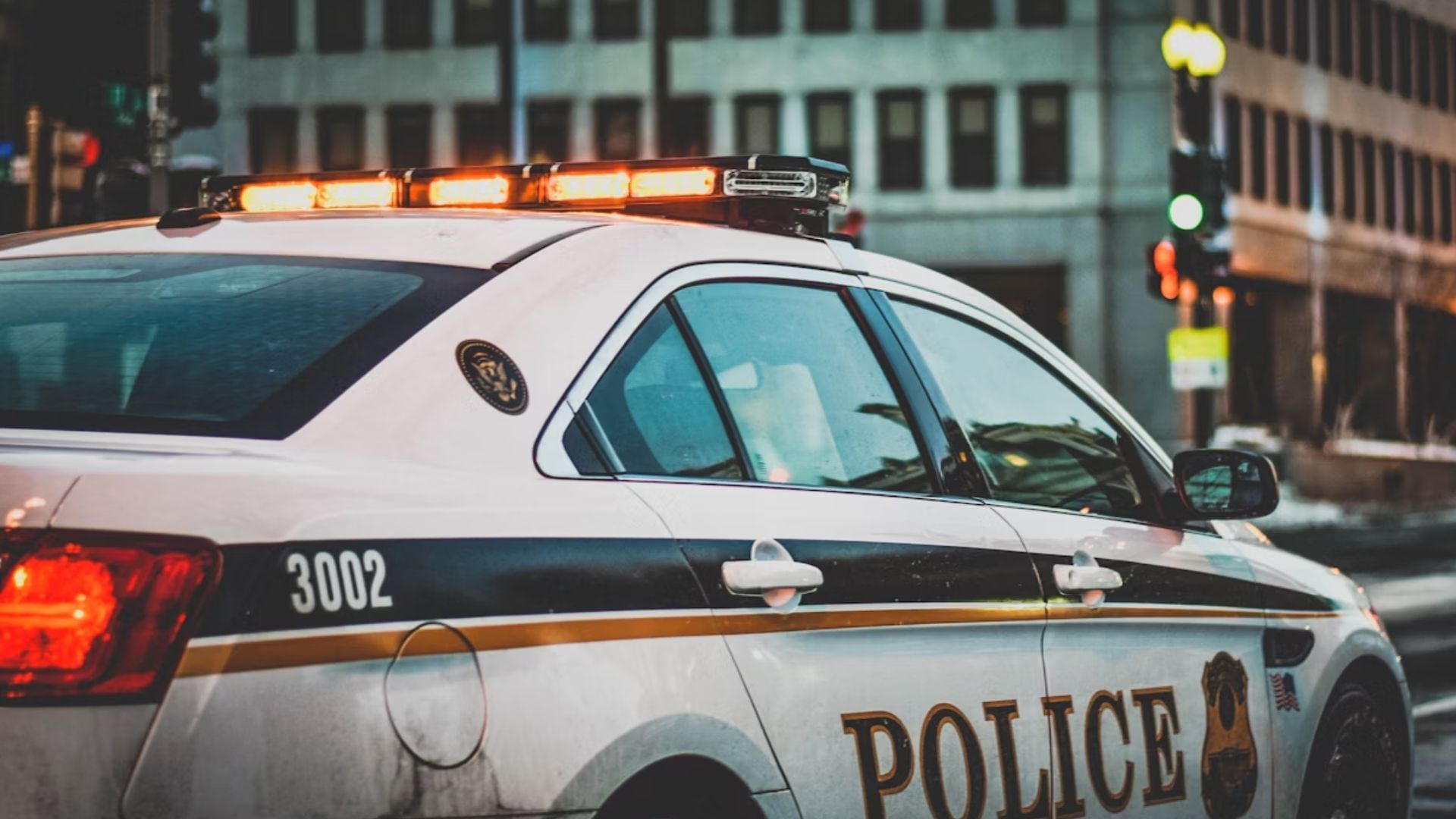 Ursula Duran&#039;s brutal killing: The Final Arrest (Image via Unsplash)