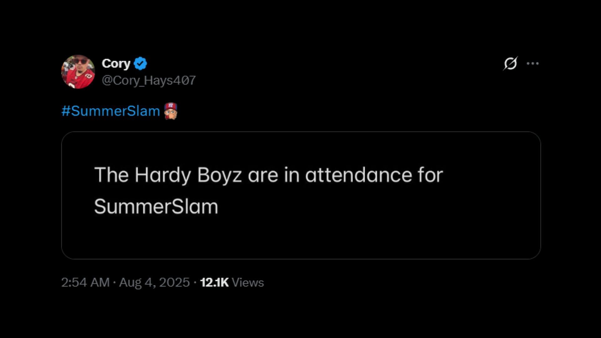 Screenshot of The Hardy Boyz report [Image credit: Cory Hays&#039; X/Twitter]