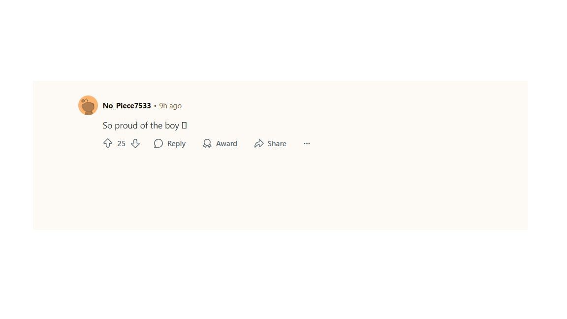 A screenshot of the Reddit comment (Image via Reddit/@No_Piece7533)