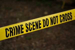 Joann Peterson's brutal crime - A detailed case overview
