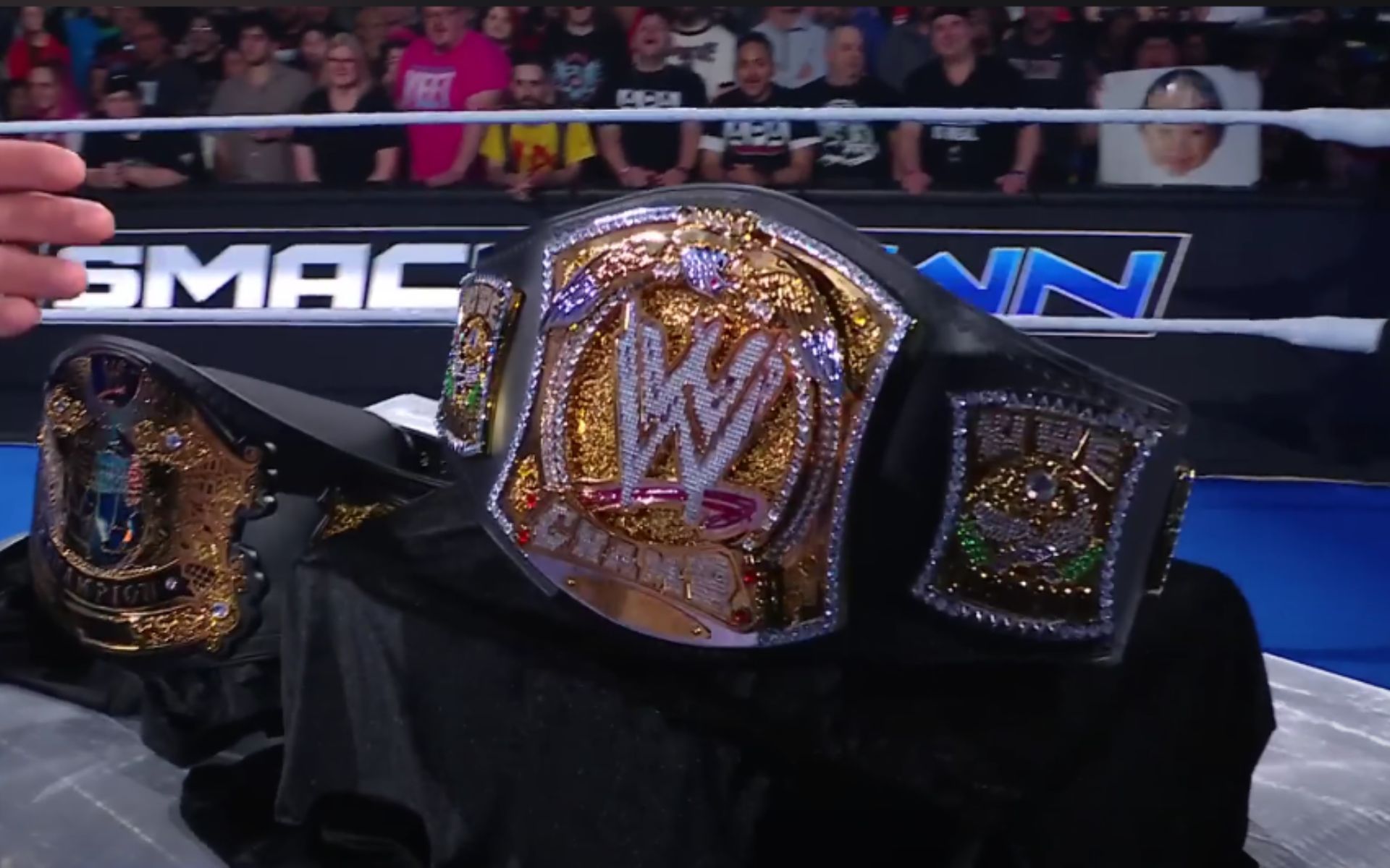 (Picture Courtesy: WWE on YouTube)