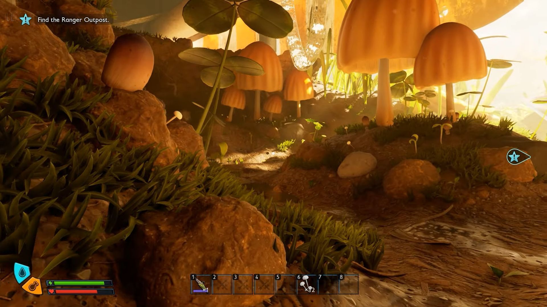 Behold, Mushroom! (Image via Xbox Game Studios | YouTube/HeRo Survival Guides)