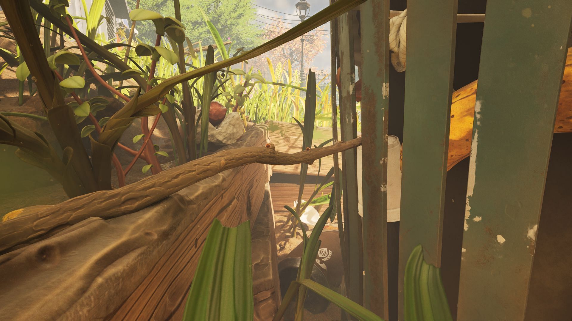 Collect Sap from the surface (Image via Obsidian Entertainment)