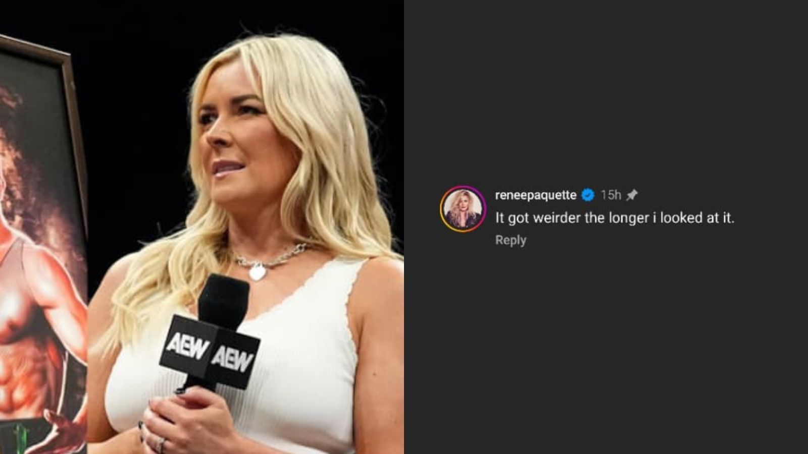 Renee Paquette&#039;s comment [Images via AEW&#039;s Instagram]