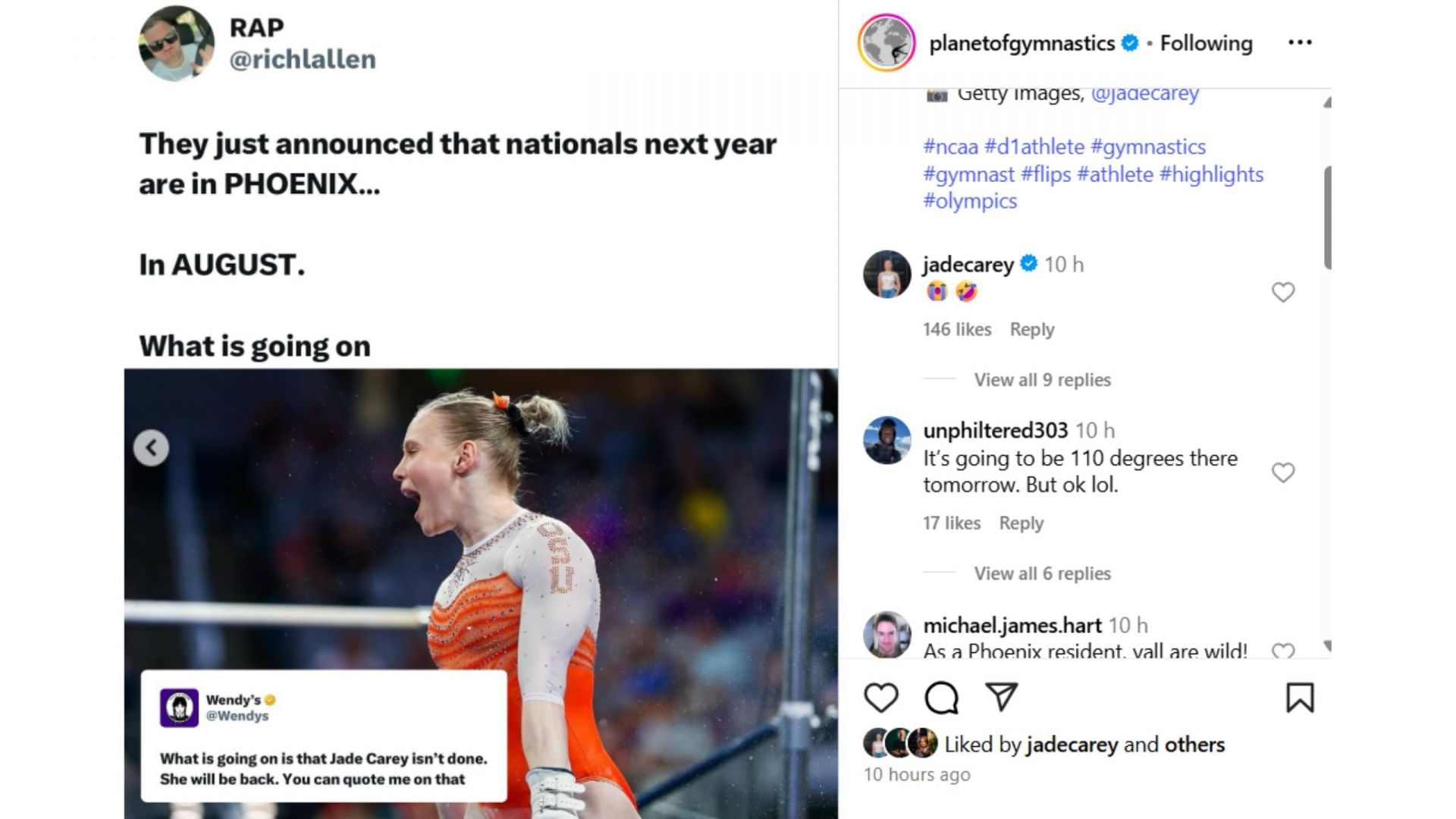 Screenshot of comment (IG/@planetofgymnastics)