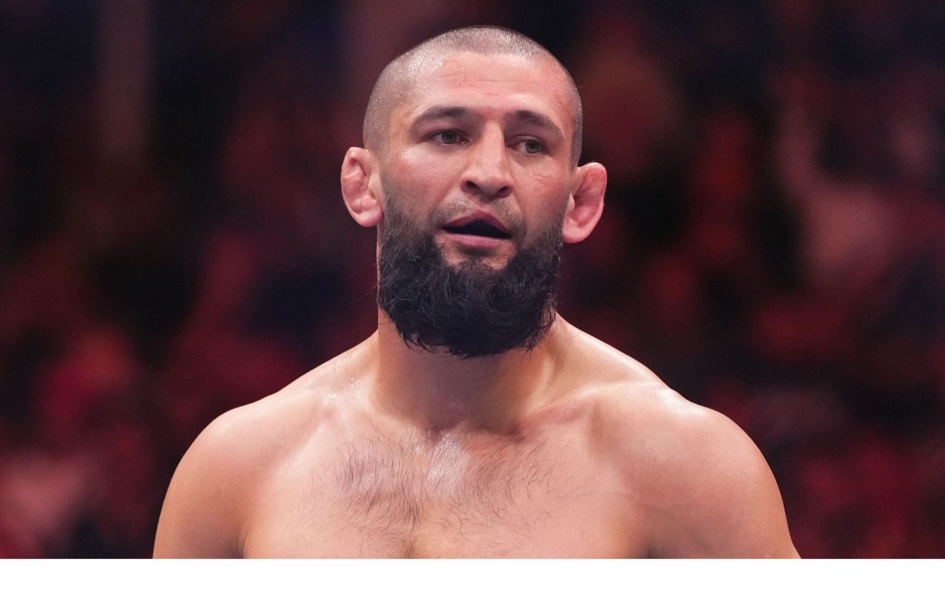 Khamzat Chimaev crowned undisputed UFC middleweight champion at UFC 319. [Image courtesy: Getty Images]
