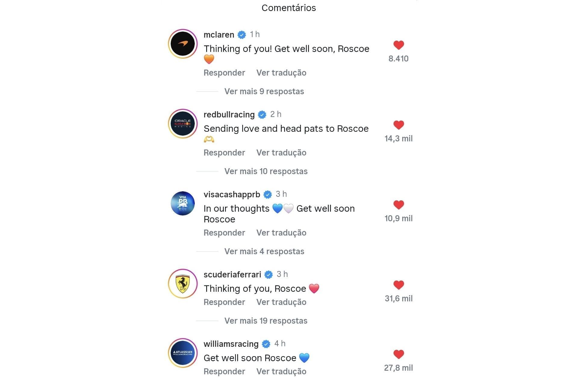 Formula 1 teams drop their prayers and wishes for Roscoe&#039;s speedy recovery (comments under @lewishamilton&#039;s Instagram post)