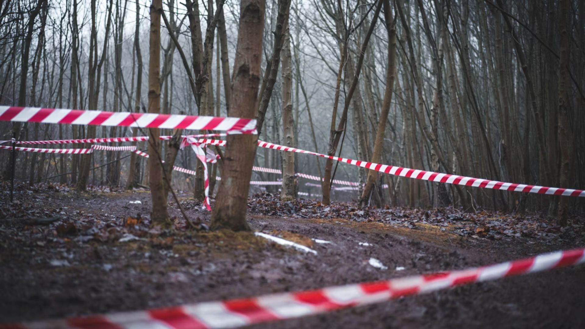 Kirsti&#039;s body was found in a decomposed state (Representative Image via Unsplash/@Tom Hills/ Dateline)