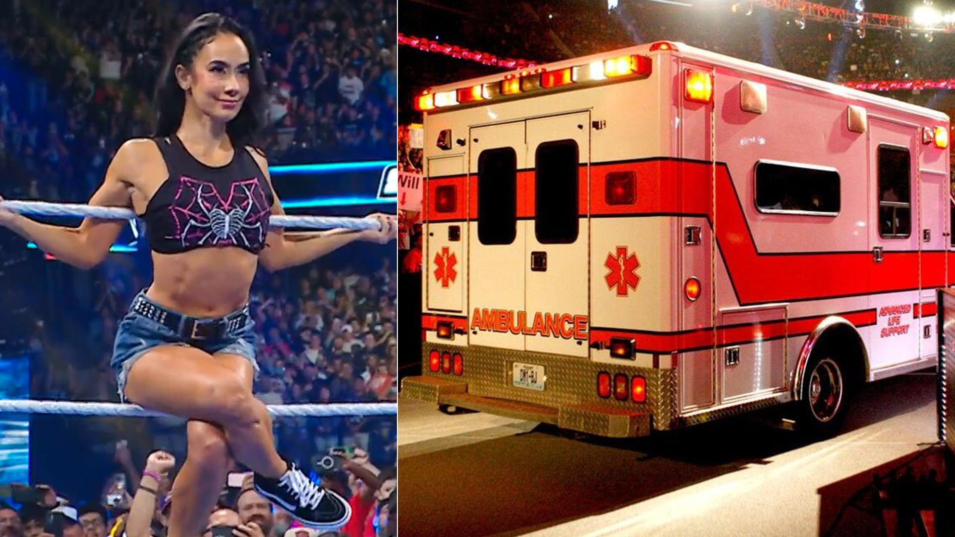 A major twist might await AJ Lee. [Image credits: WWE.com]