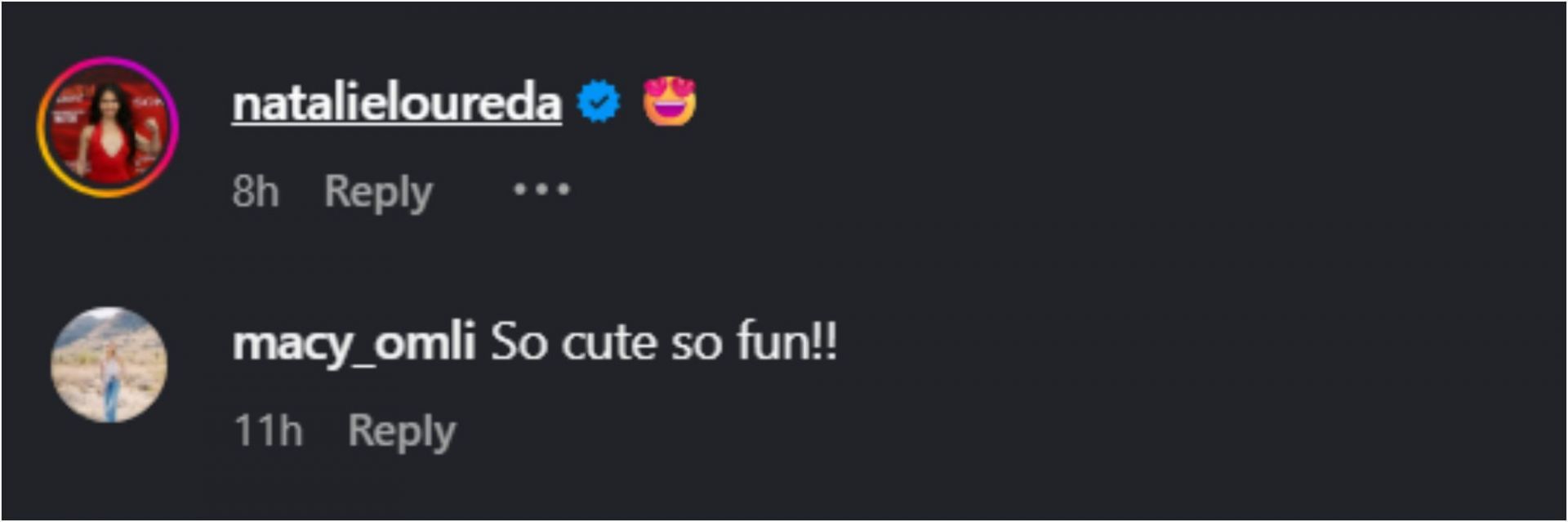 Screenshot of comments [Image Source: Instagram/liv_nil]
