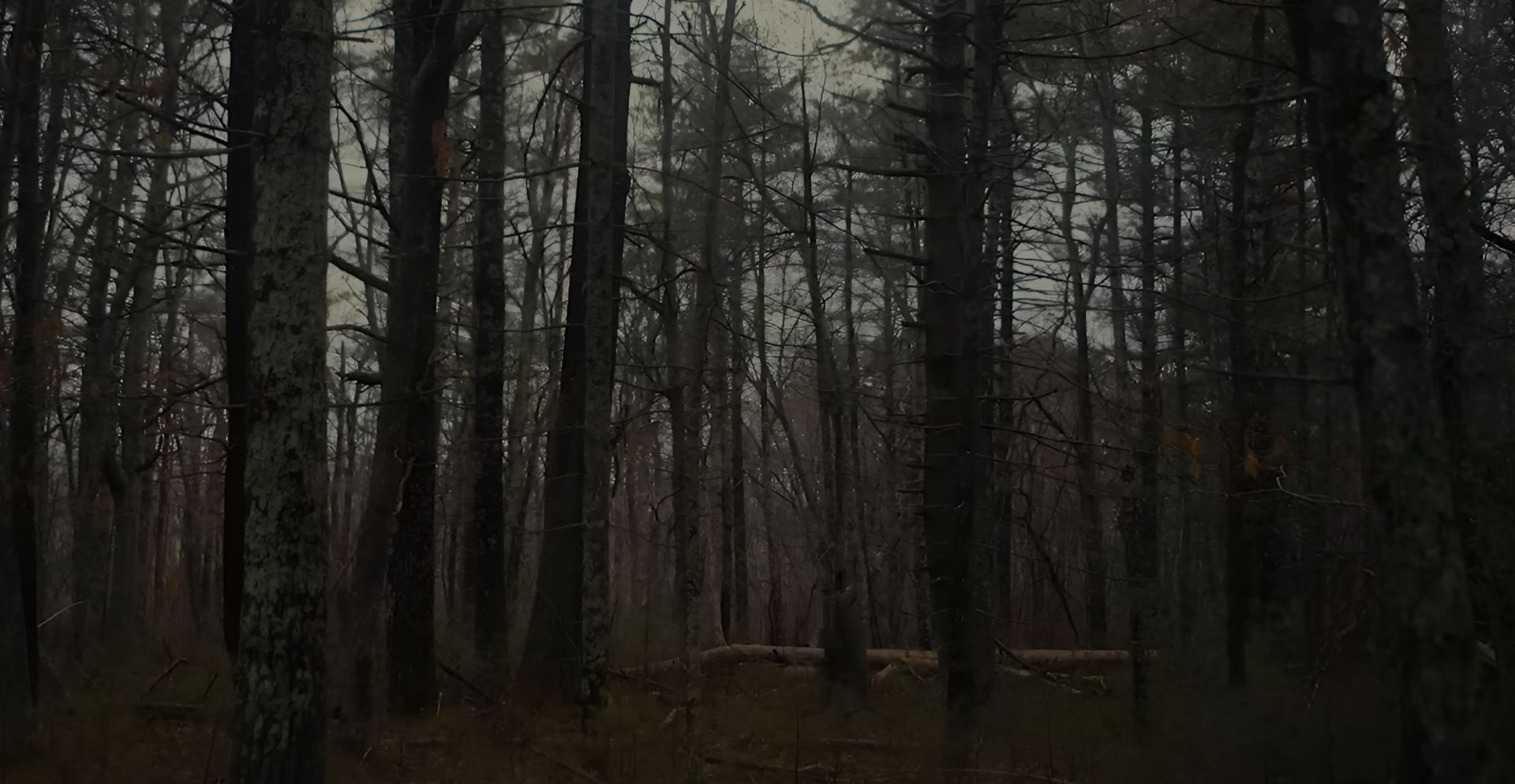 A still from the movie (Image via YouTube/Hulu)