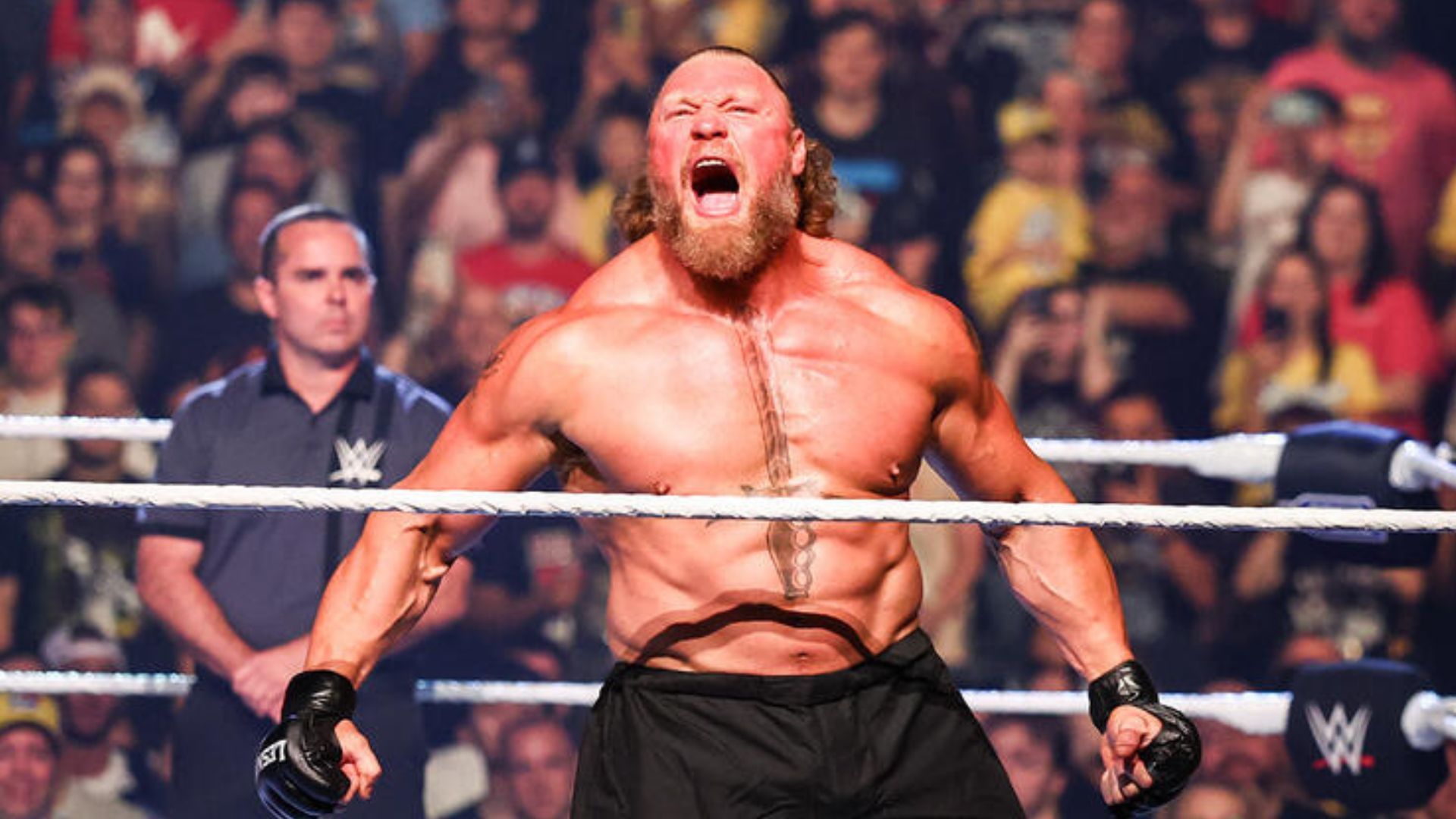 Brock Lesnar at Wrestlepalooza! [Image credit: WWE.com]