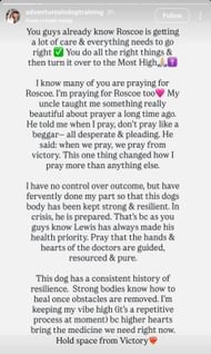 Image credits: Instagram/@adventuresindogtraining