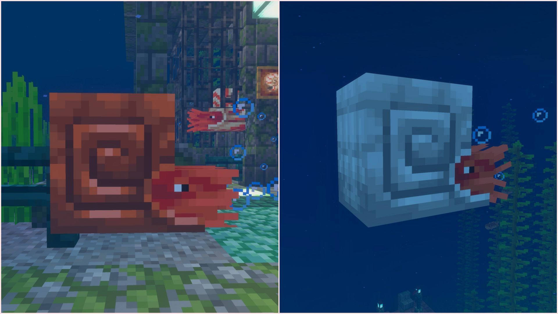 Nautilus will get its own set of armor found as chest loot (Image via Mojang Studios)