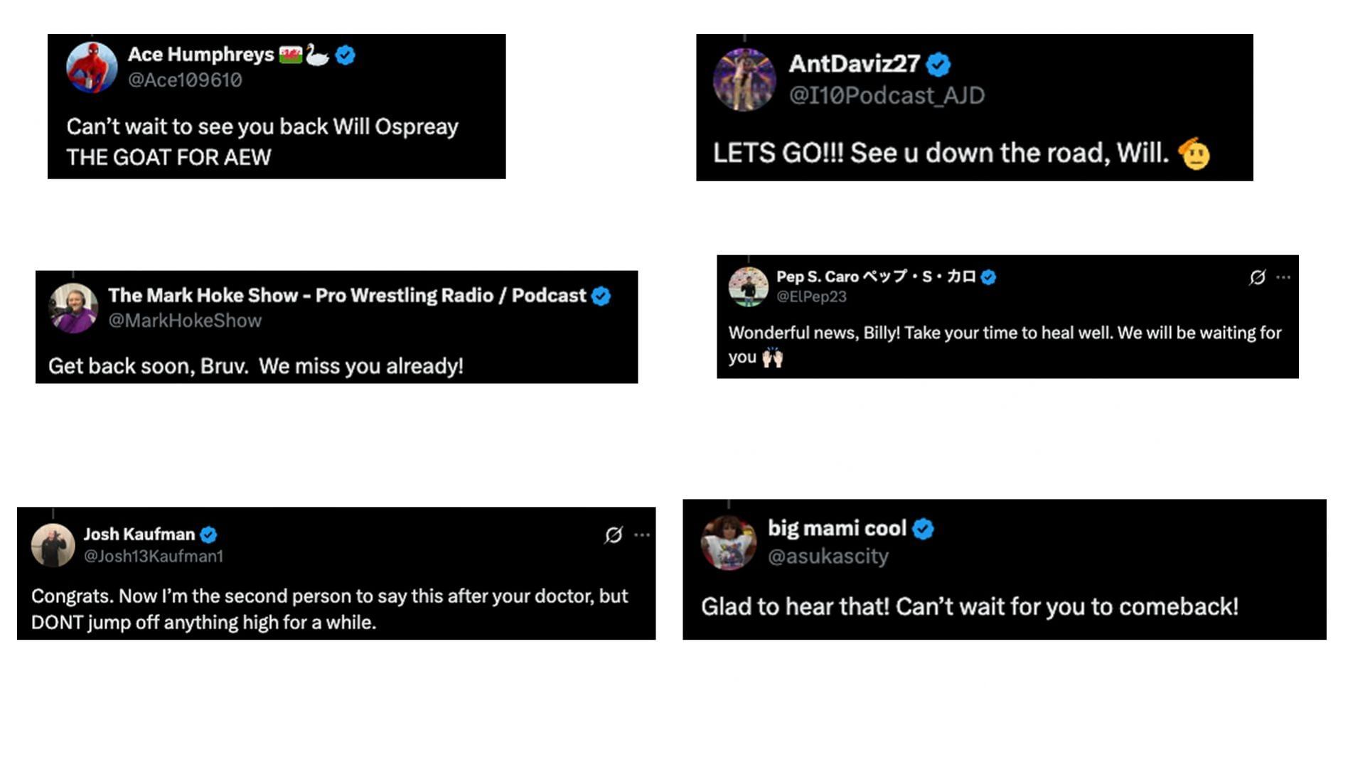 Screengrab of fans' reactions (source: Will Ospreay's X account)