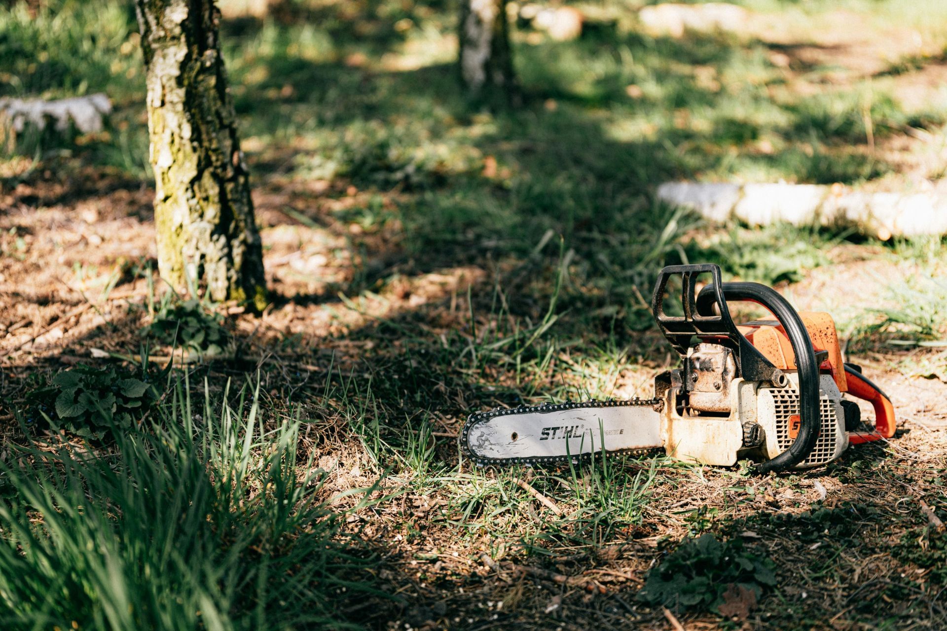 Investigators documented an electric saw recovered as evidence (Image via Pexels)