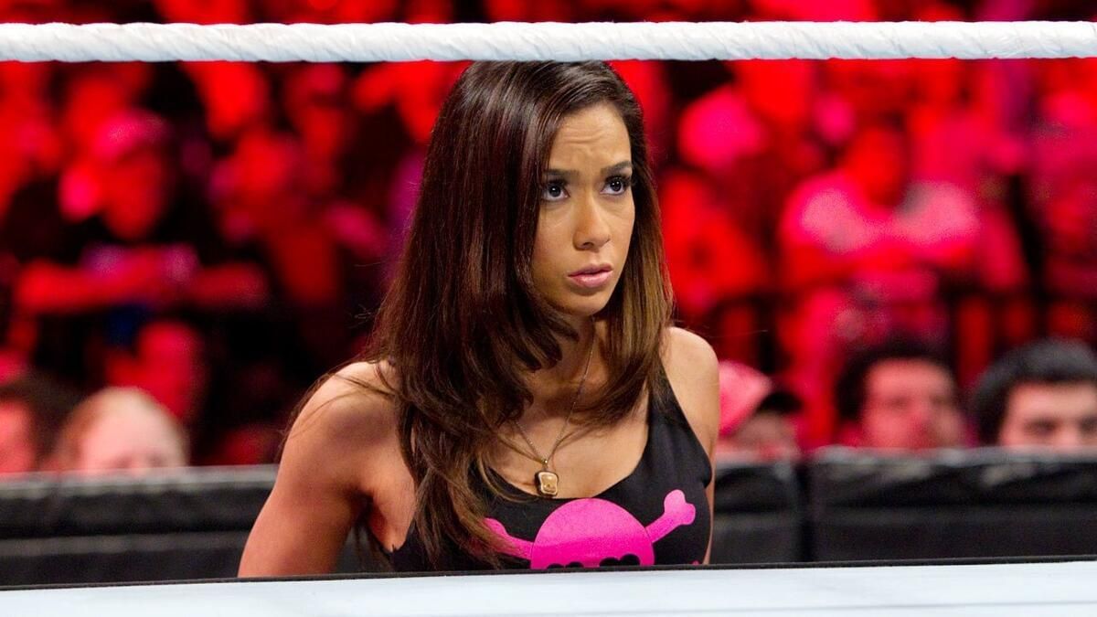 Former WWE Divas Champion AJ Lee [Image Credit: wwe.com]