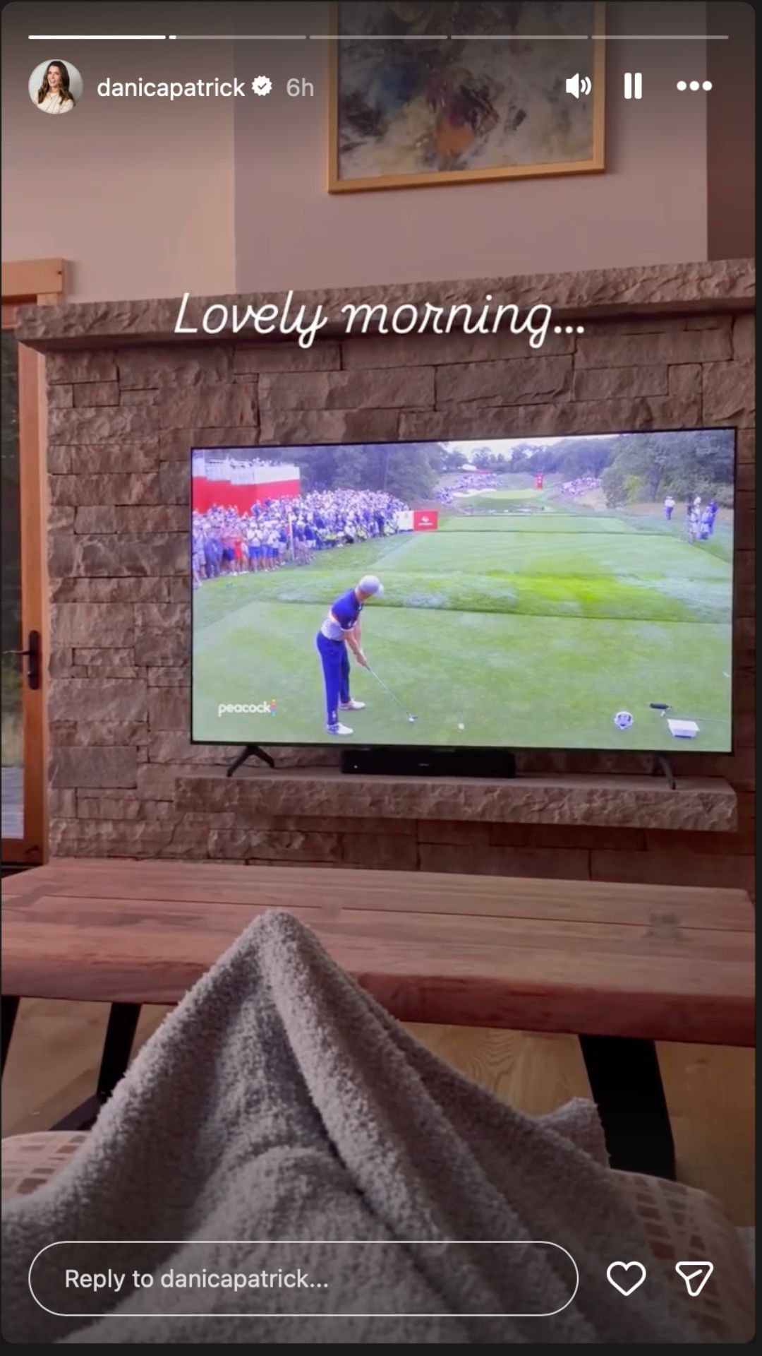 Danica Patrick&#039;s Instagram story - Source: @danicapatrick on IG