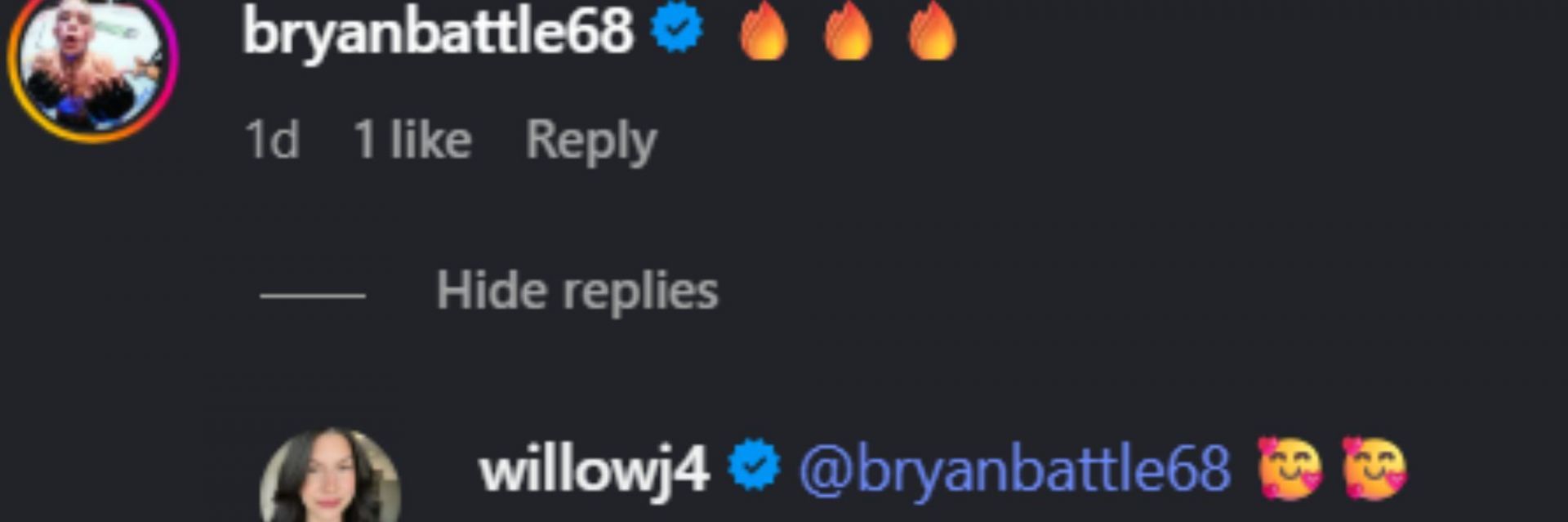 Screenshot of comments [Image Source: Instagram/willowj4]