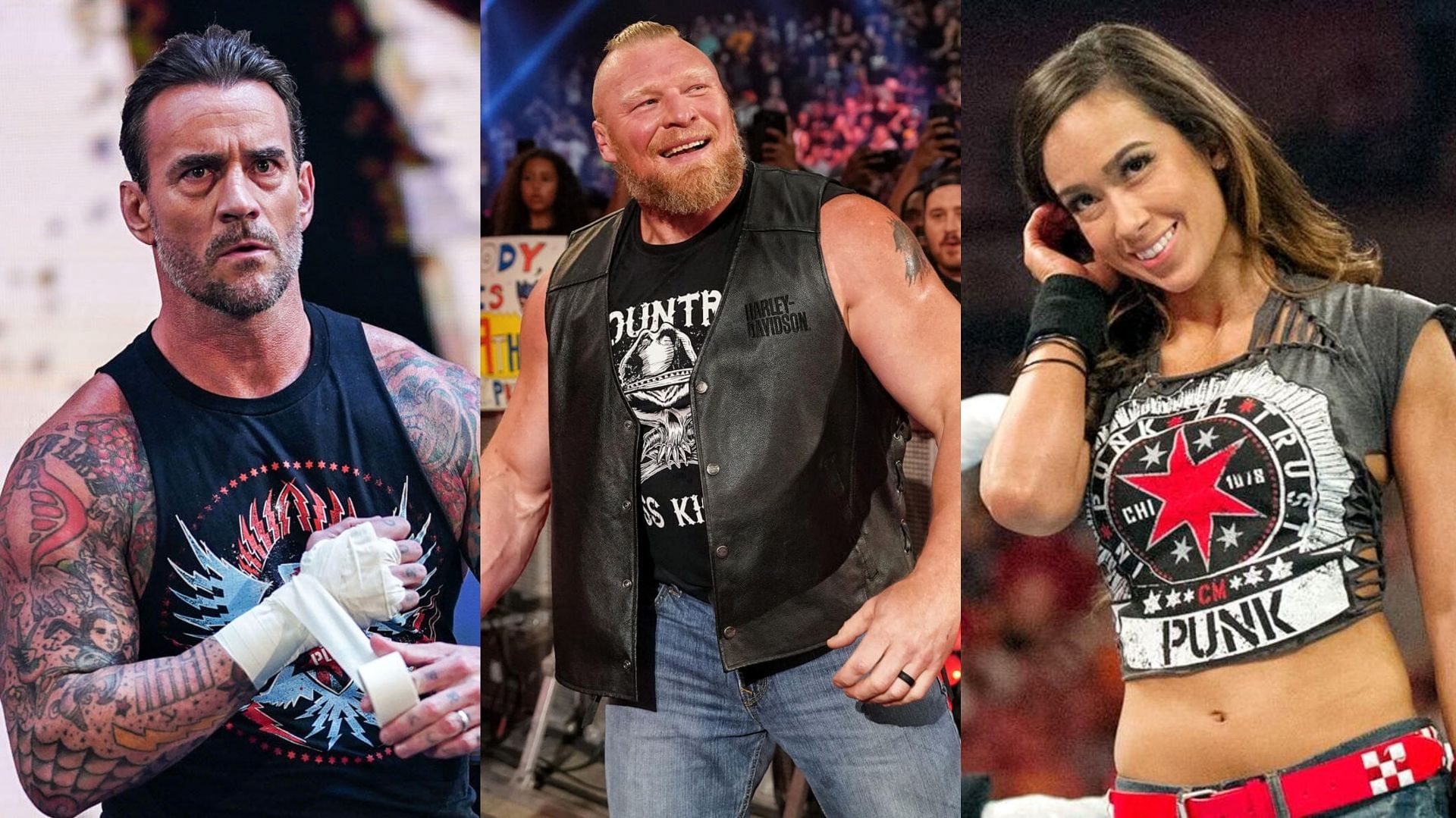 CM Punk, Brock Lesnar, AJ Lee