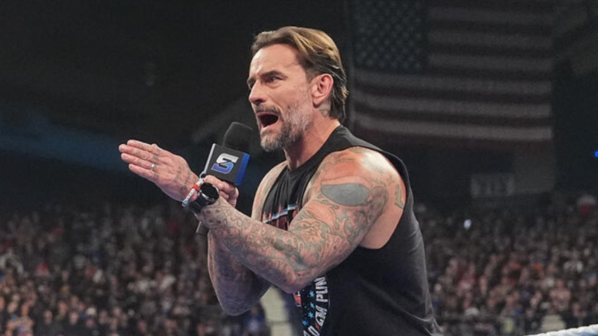 What is next for CM Punk? (via WWE.com)