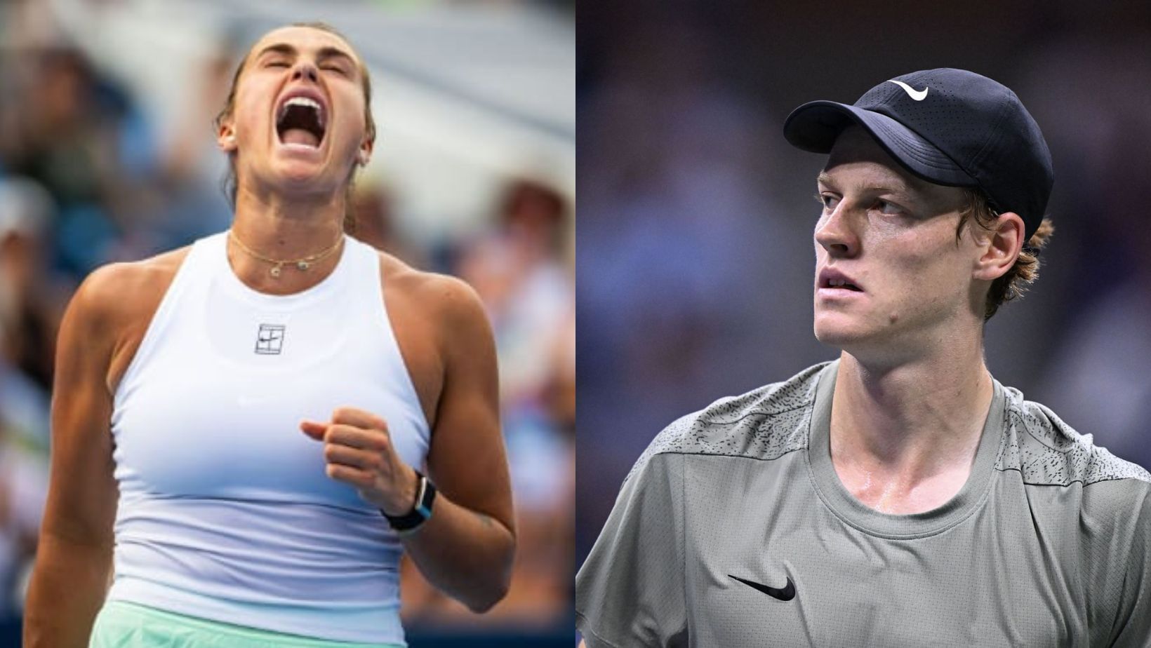 Fans slam Serena Williams