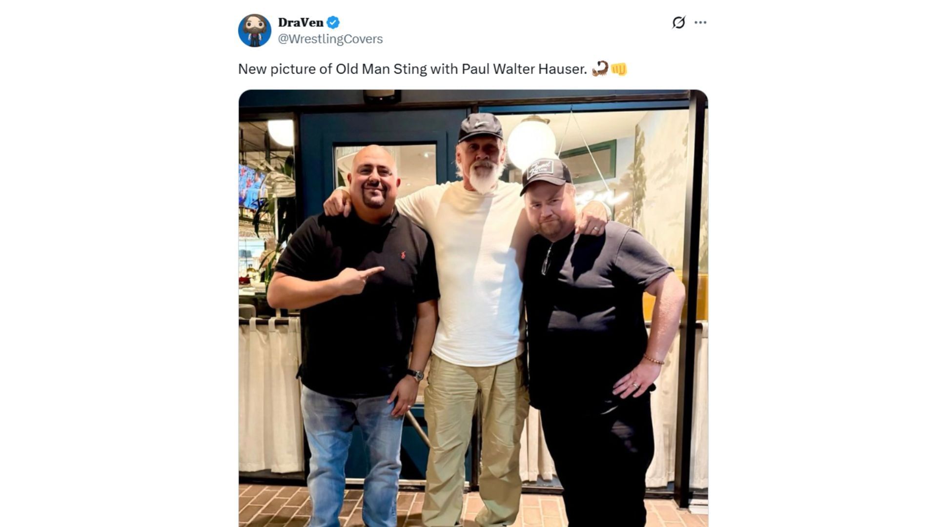 Paul Walter Hauser with the WCW, WWE and AEW icon [Source : A user&#039;s X/Twitter profile]