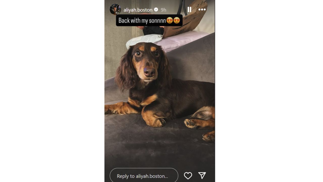 Aliyah Boston reunites with pet Ozzy. [photo: @aliyah.boston/IG]