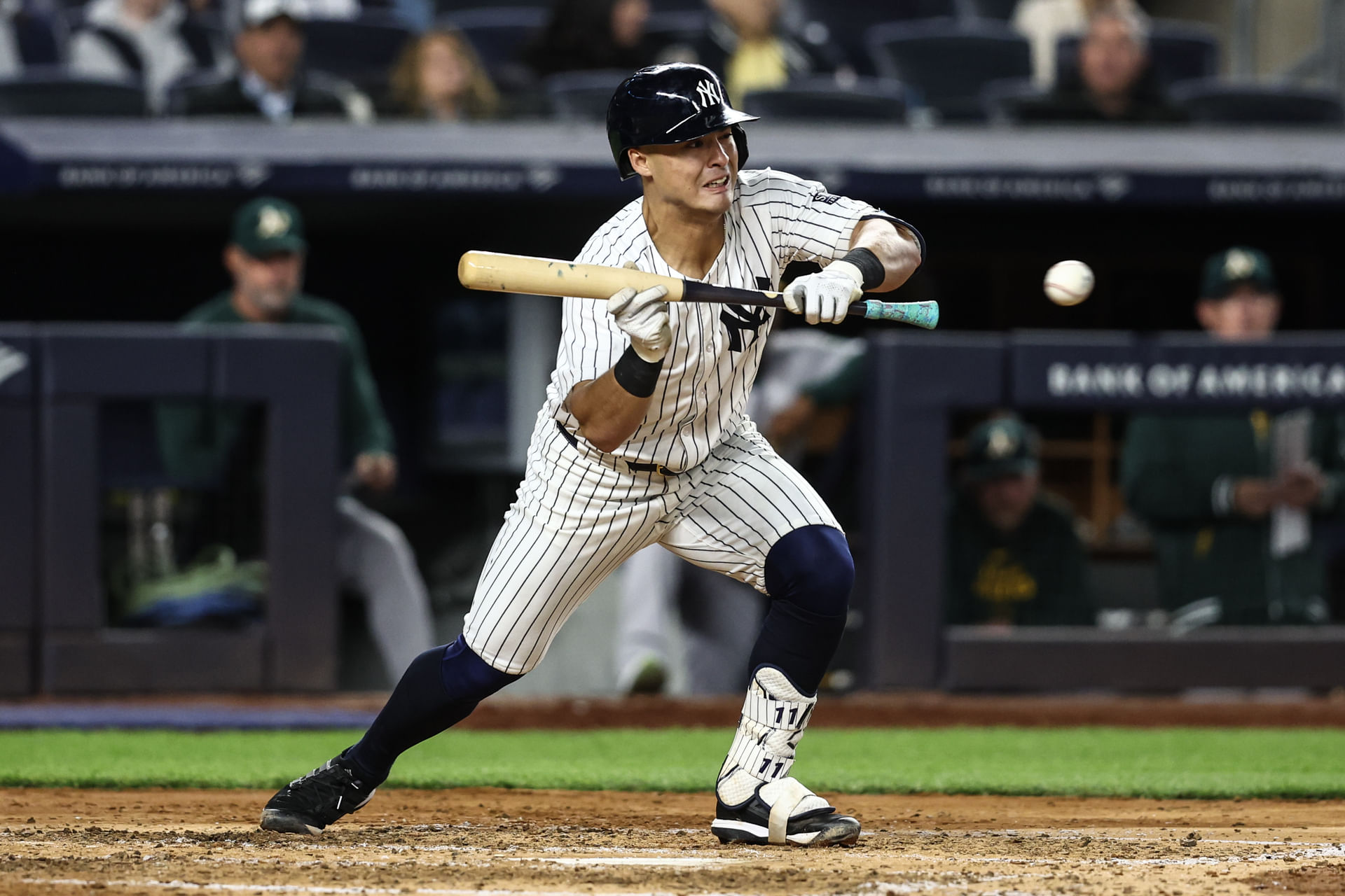 MLB: Oakland Athletics at New York Yankees - Source: Imagn