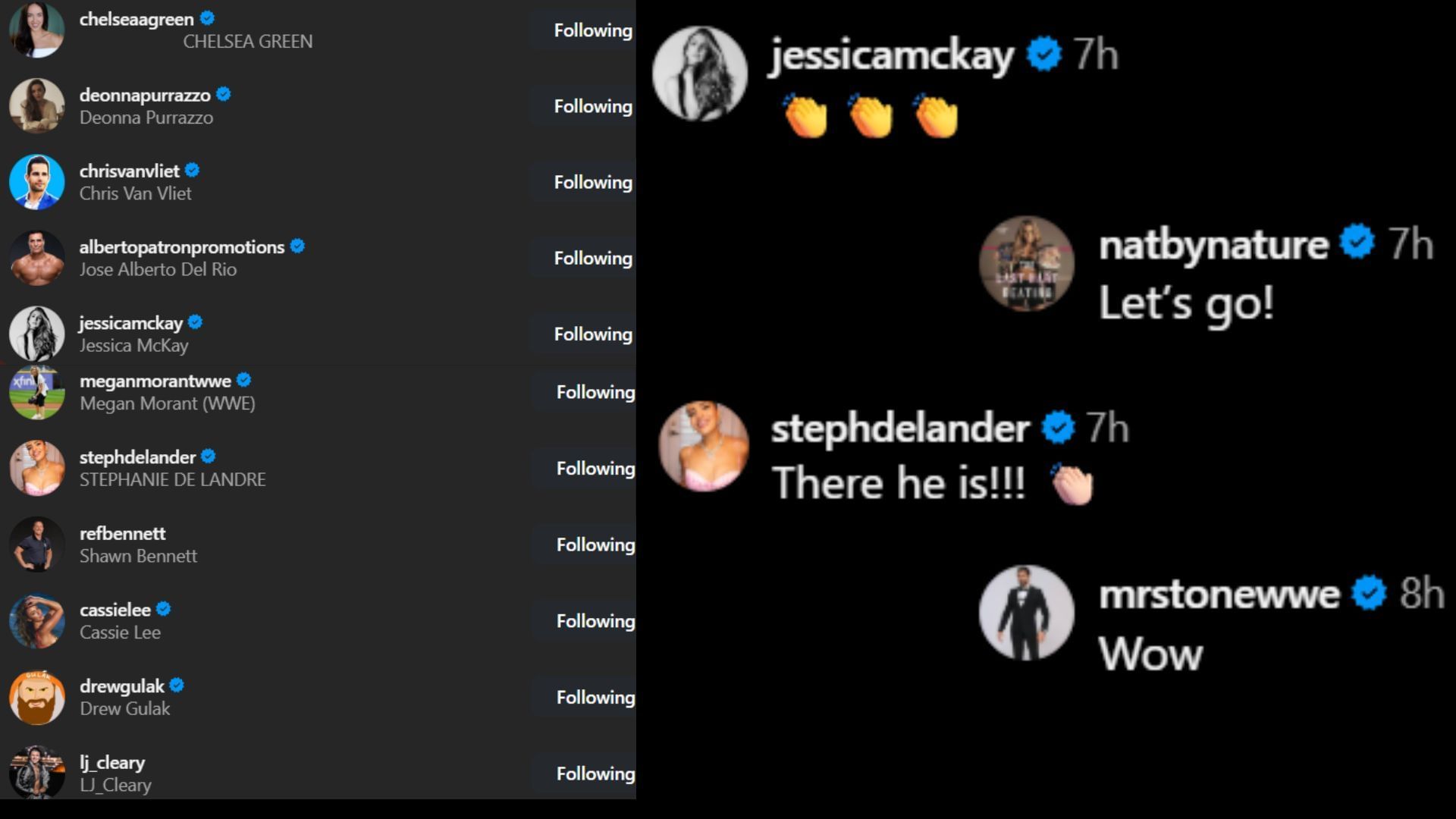 Screenshots of stars&#039; likes and comments. [Image credit: Matt Cardona&#039;s Instagram]
