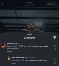 Screenshot of Mercedes responding to a fan.