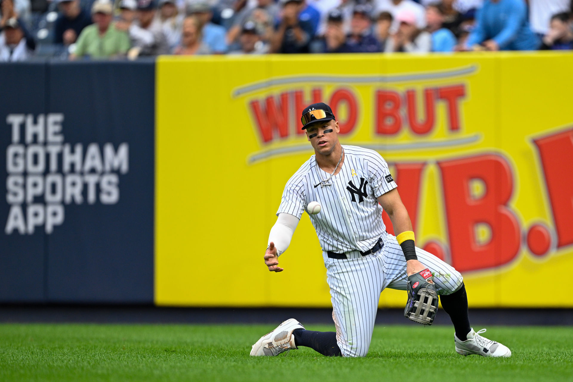MLB: Toronto Blue Jays at New York Yankees - Source: Imagn